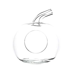 Cam Elma Fanus - Orta Boy